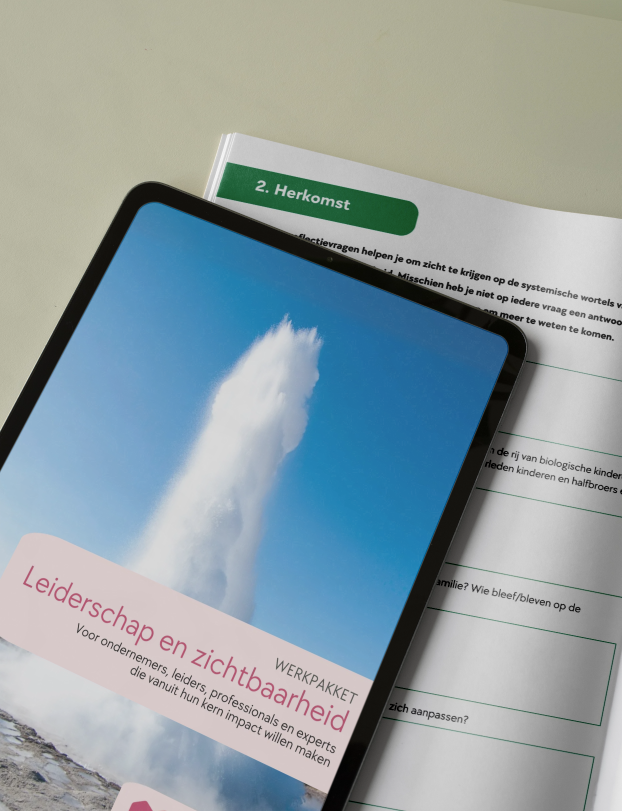 Werkpakket Leiderschap en zichtbaarheid - JRsysteemopstellingen